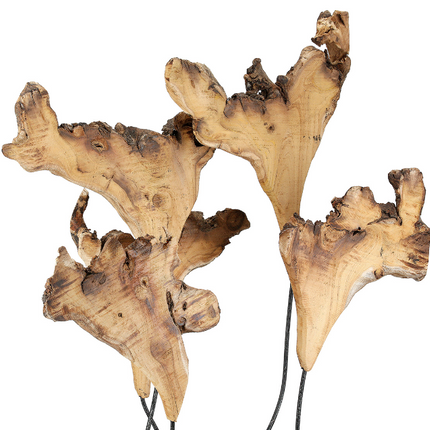 Borneo Bloom – Organische Holzskulptur