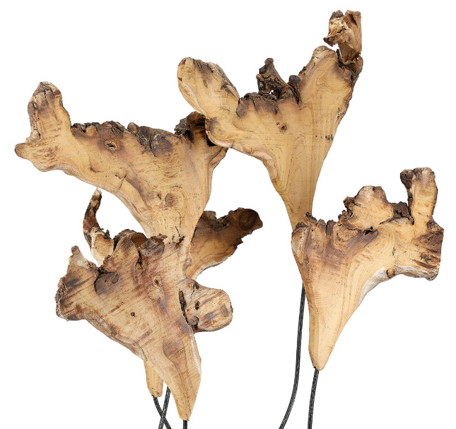 Borneo Bloom – Organische Holzskulptur