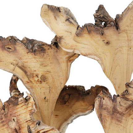 Borneo Bloom – Organische Holzskulptur